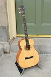 TG005 Full Guitar Web Large.jpg